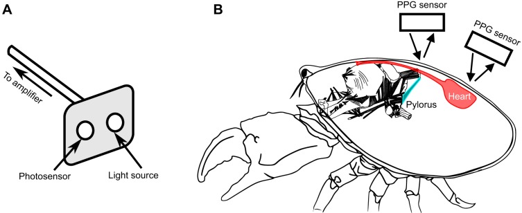 Fig. 1.