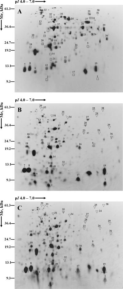 FIG. 5.