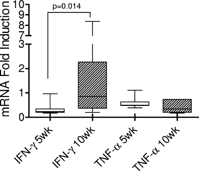 FIG. 3.