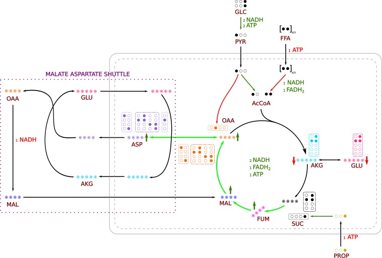 Fig. 6.