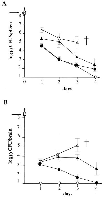 FIG. 5