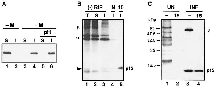 FIG. 7.