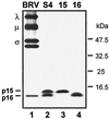 FIG. 5.