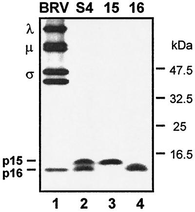 FIG. 5.