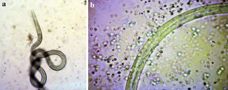 Fig. 2