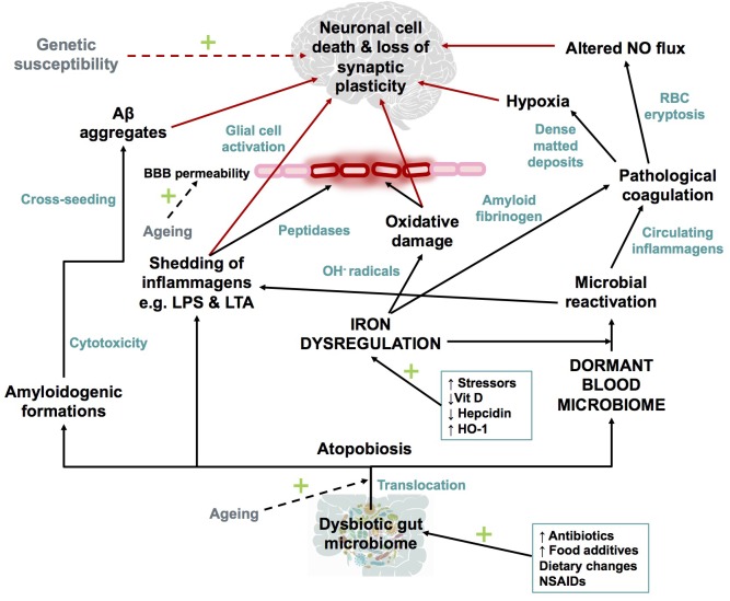 FIGURE 7