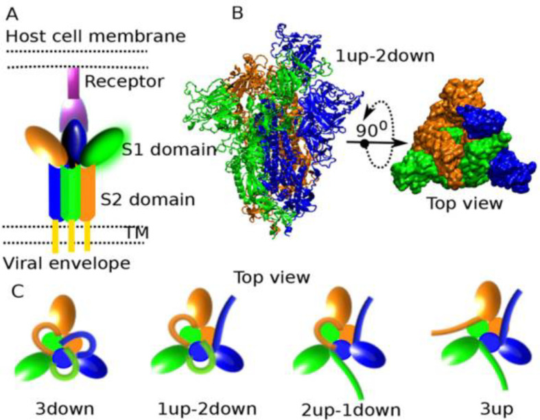 Fig. 4