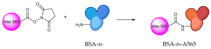 Scheme 2