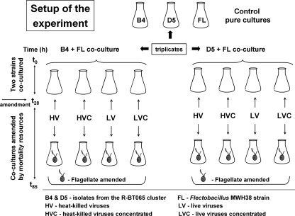 FIG. 2.