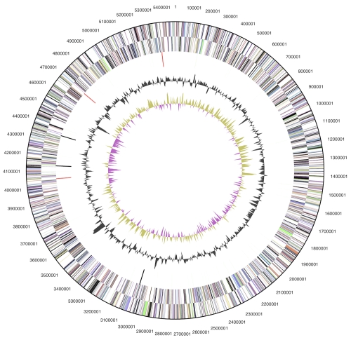 Figure 3a