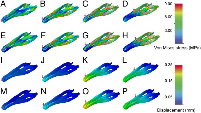 Fig. 4.