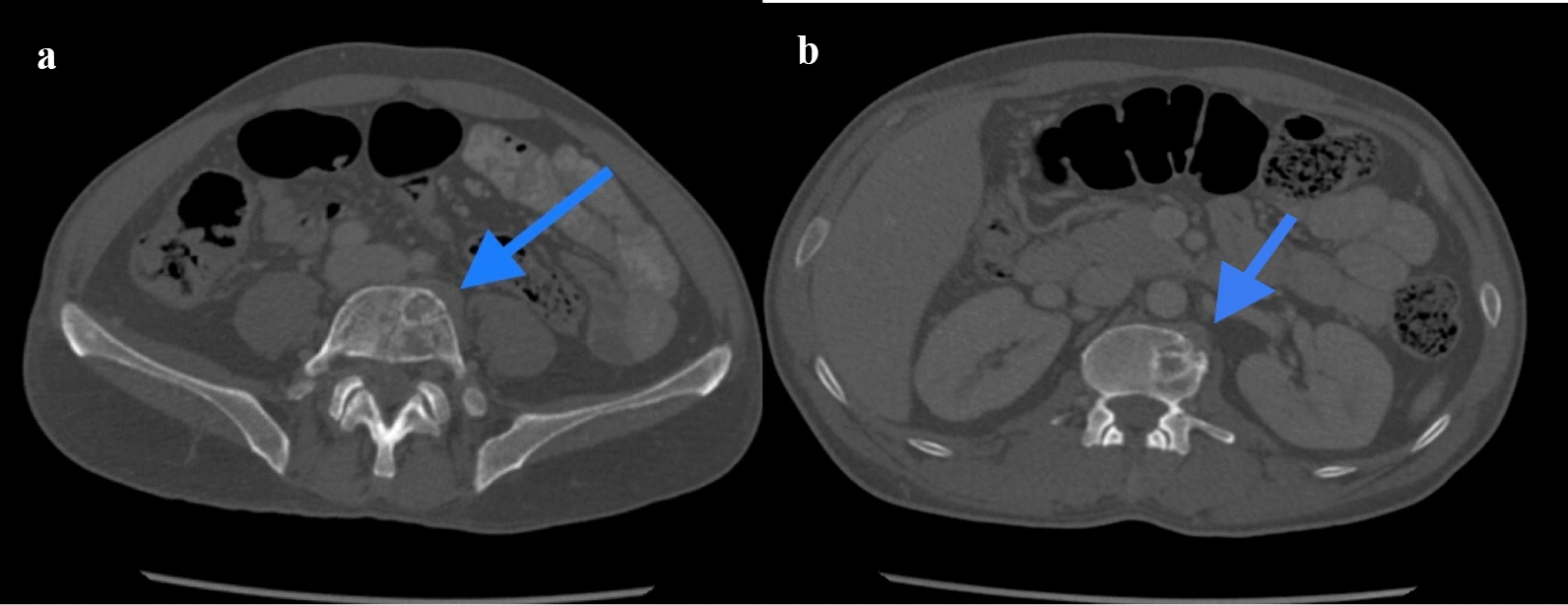 Fig. 4