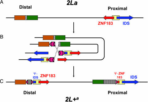 Fig. 2.