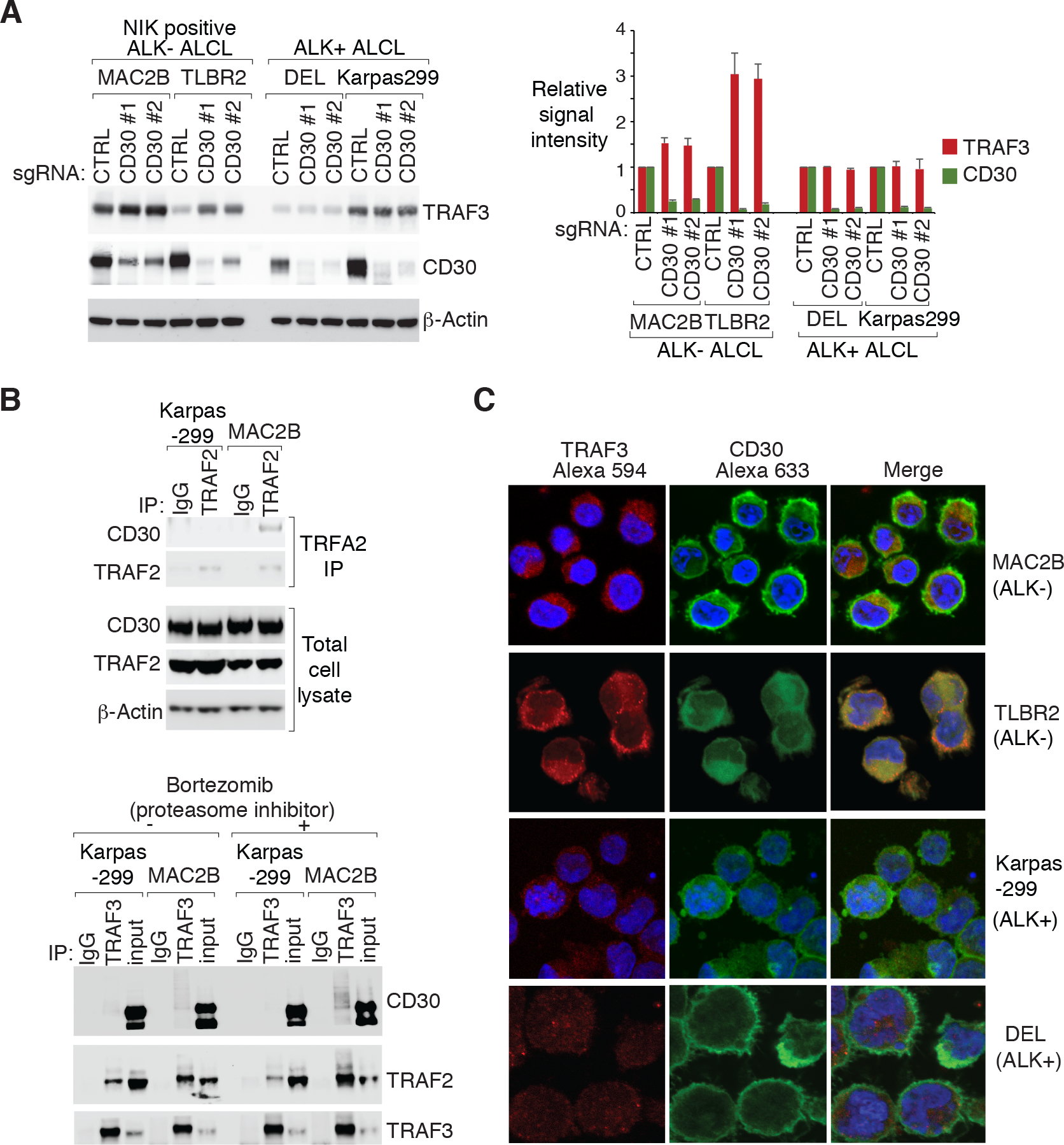 Figure 6: