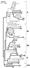 FIG. 1