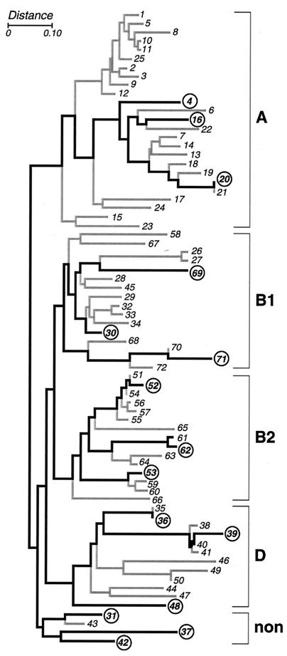 FIG. 1