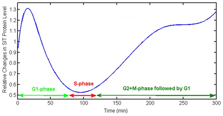 Figure 13