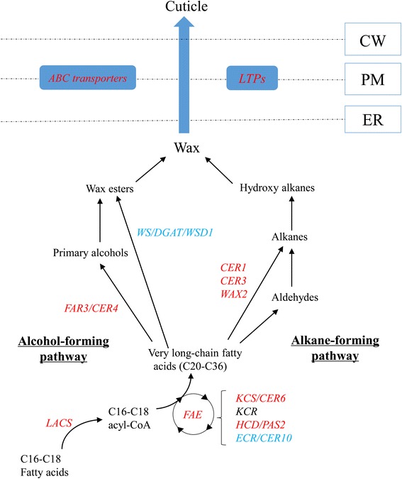 Fig. 10