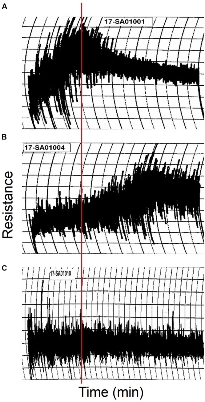 FIGURE 7