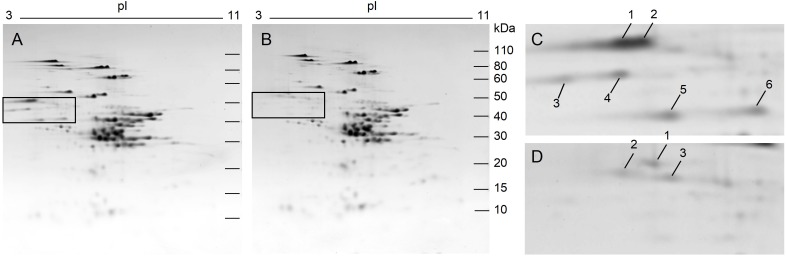 FIGURE 3