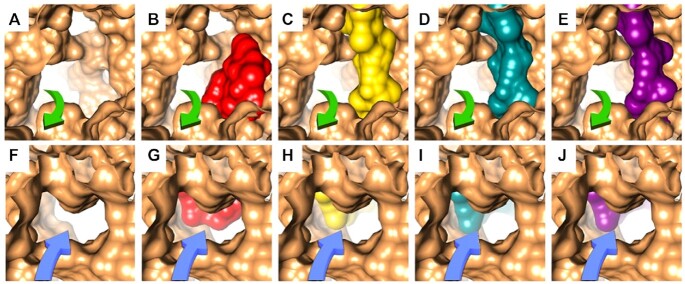 Figure 5.