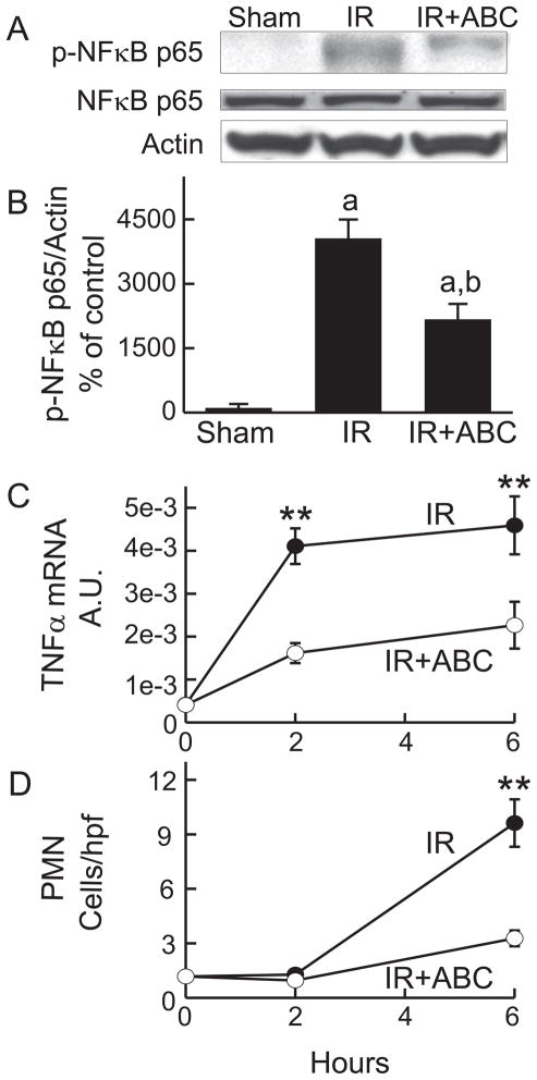 Fig. 9