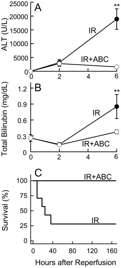 Fig. 5