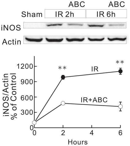 Fig. 8