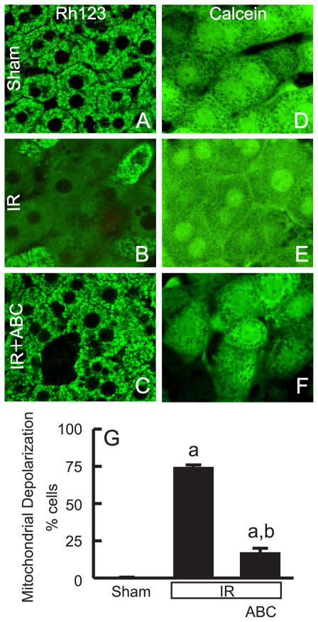 Fig. 6