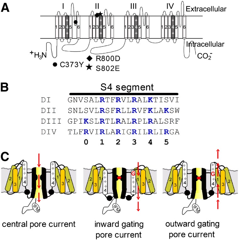 Fig. 1.