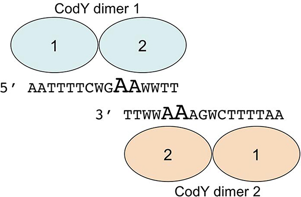 Fig. 8.