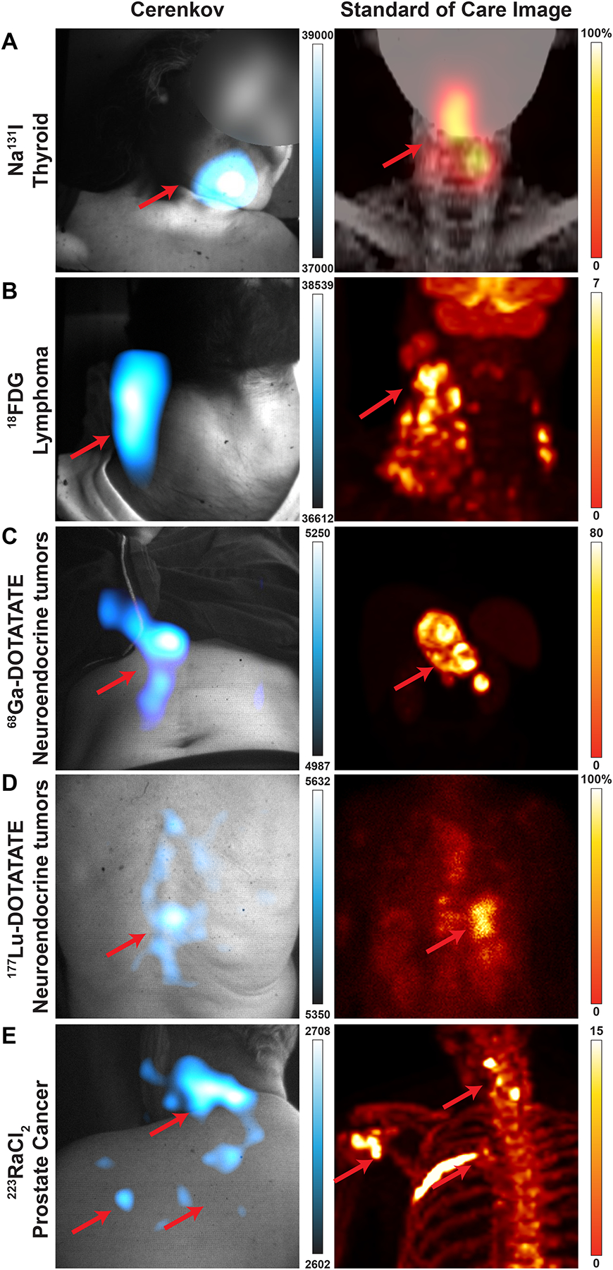 Fig. 2 |