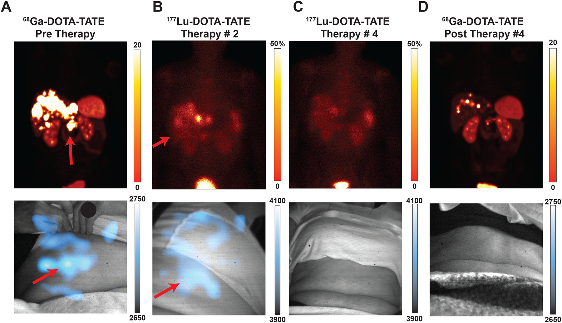 Fig. 4 |