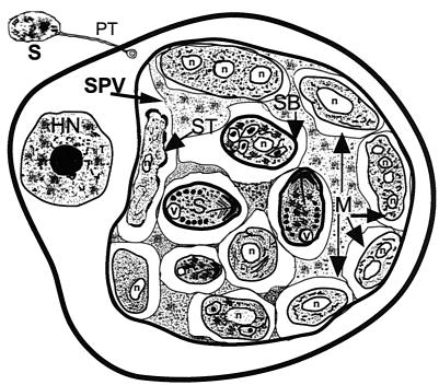 FIG. 6.