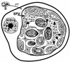 FIG. 6.