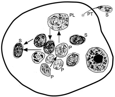 FIG. 7.