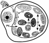 FIG. 4.