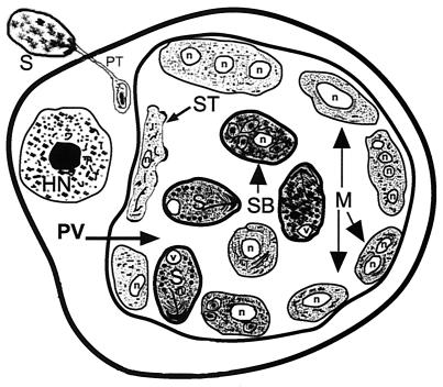 FIG. 4.