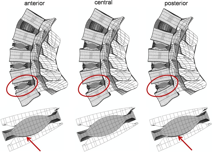 Fig. 6