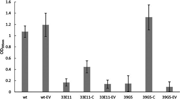 FIG 1