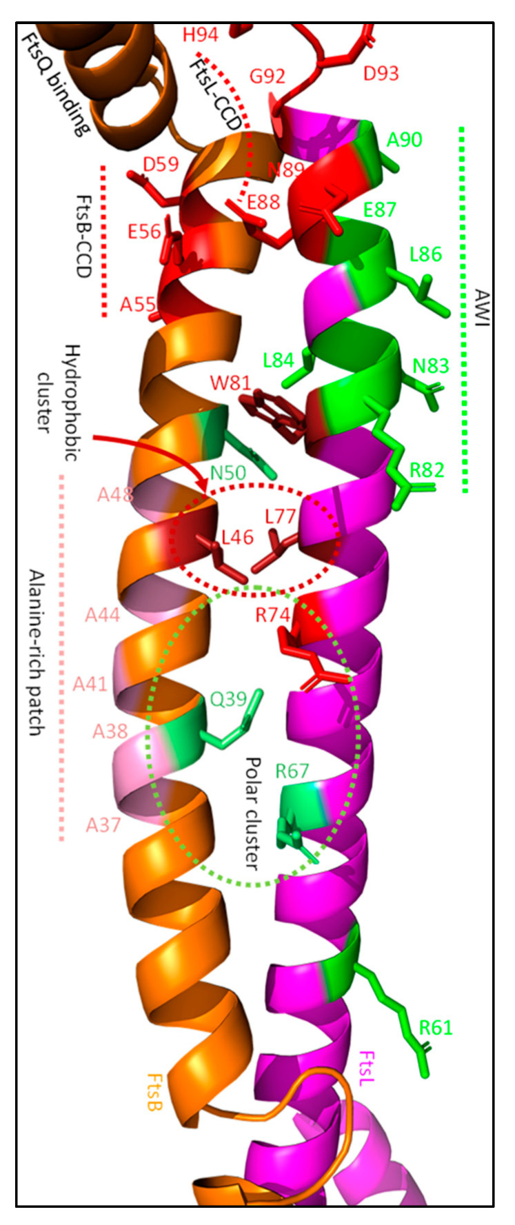 Figure 13