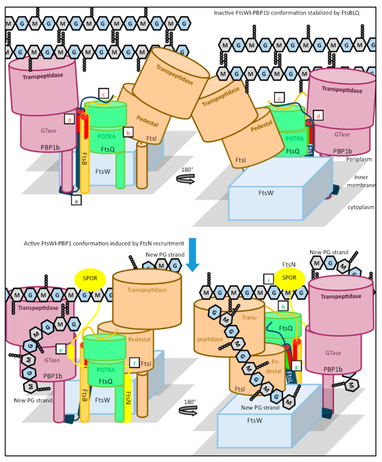 Figure 16