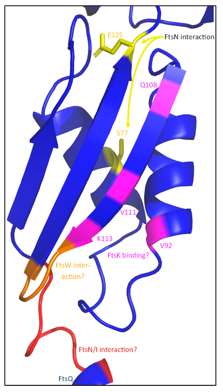 Figure 11