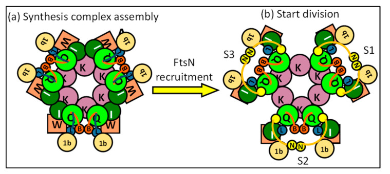 Figure 17