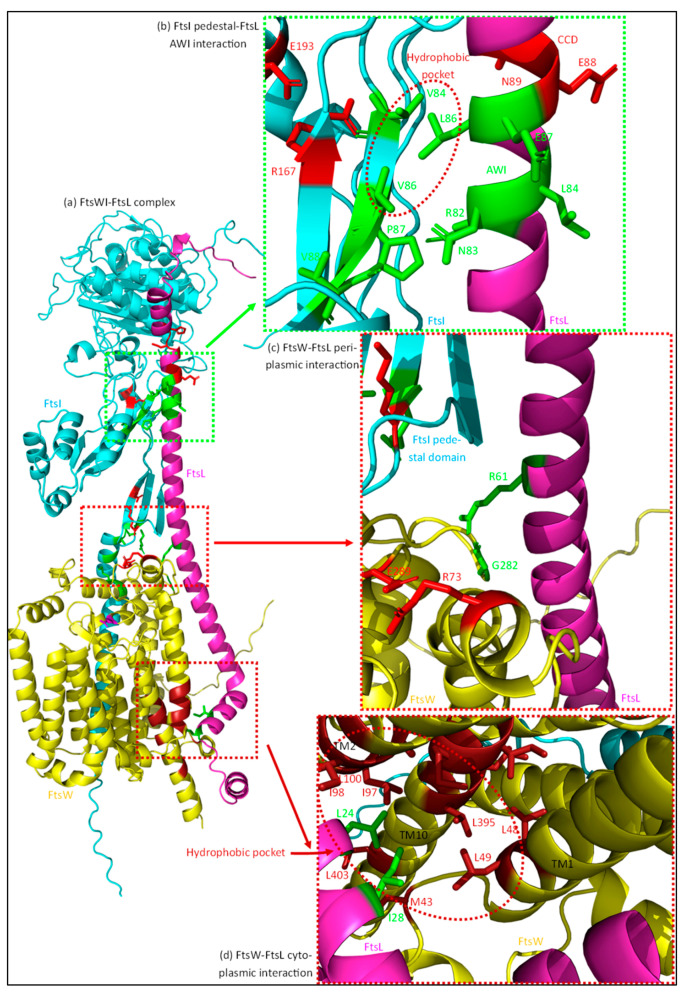 Figure 12