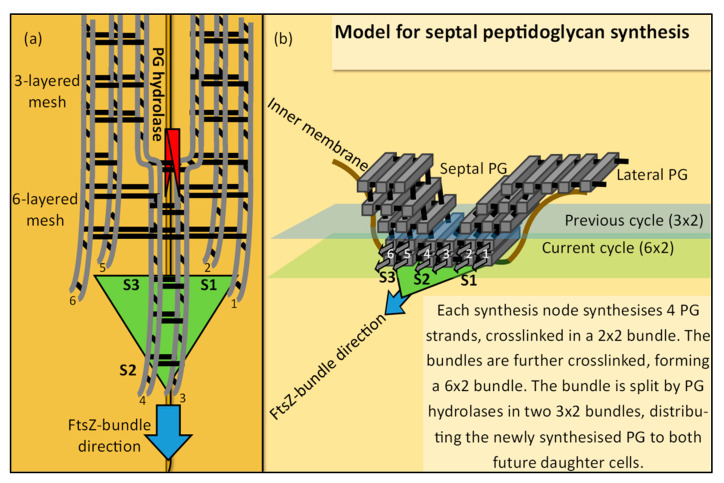 Figure 18