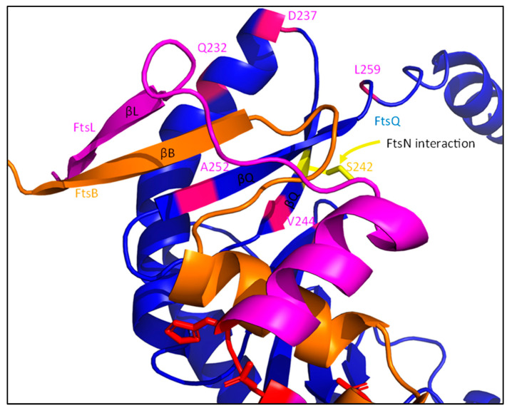 Figure 15