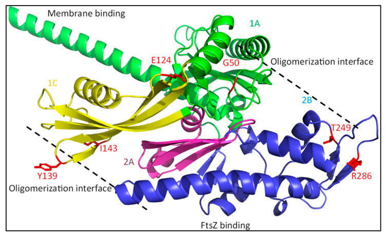 Figure 7