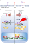 Figure 2