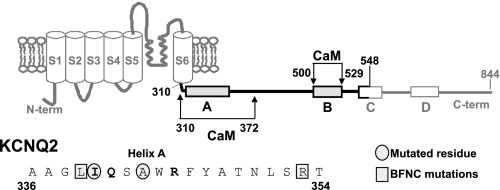 FIGURE 1.